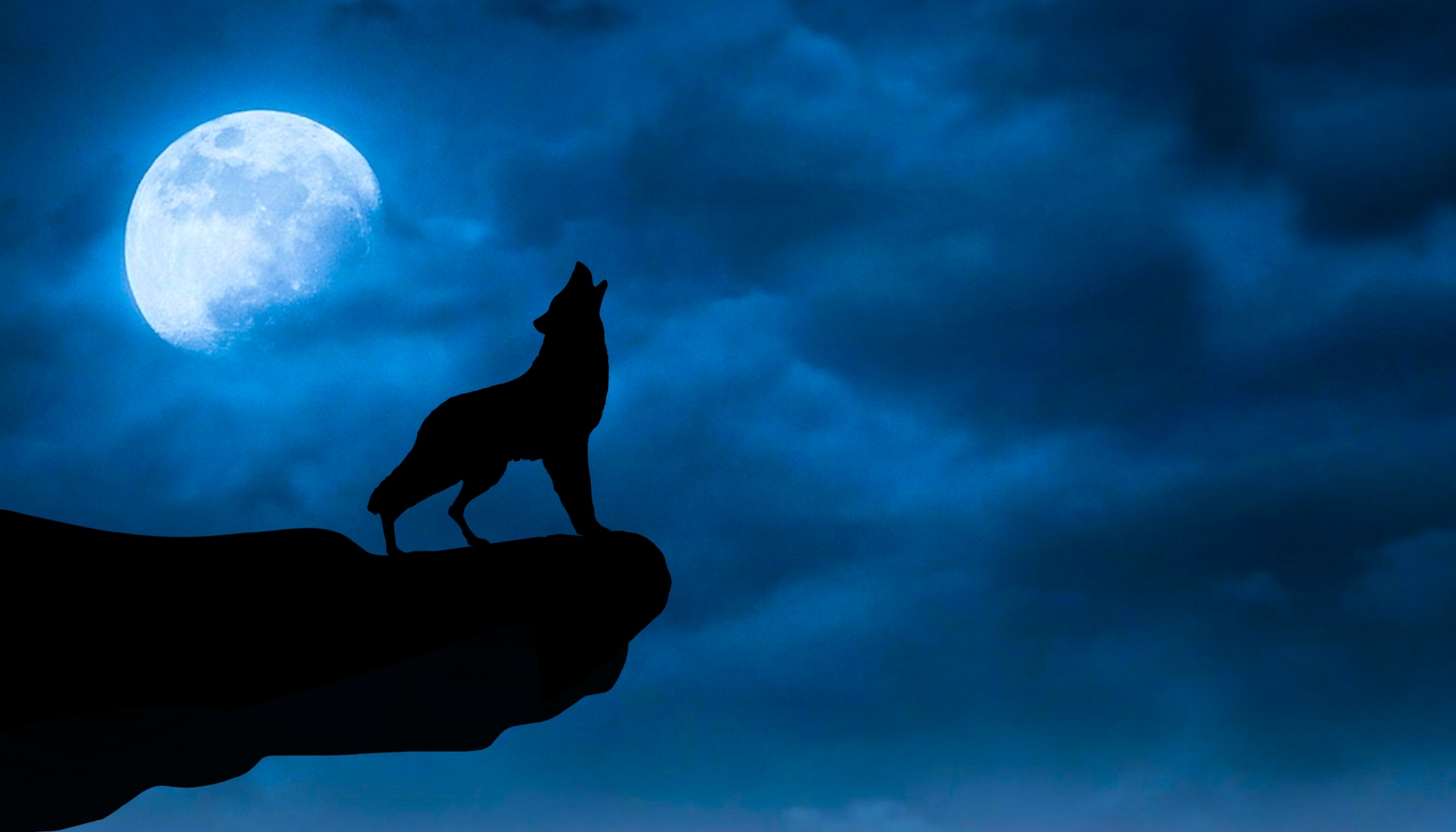 Lobo de noche