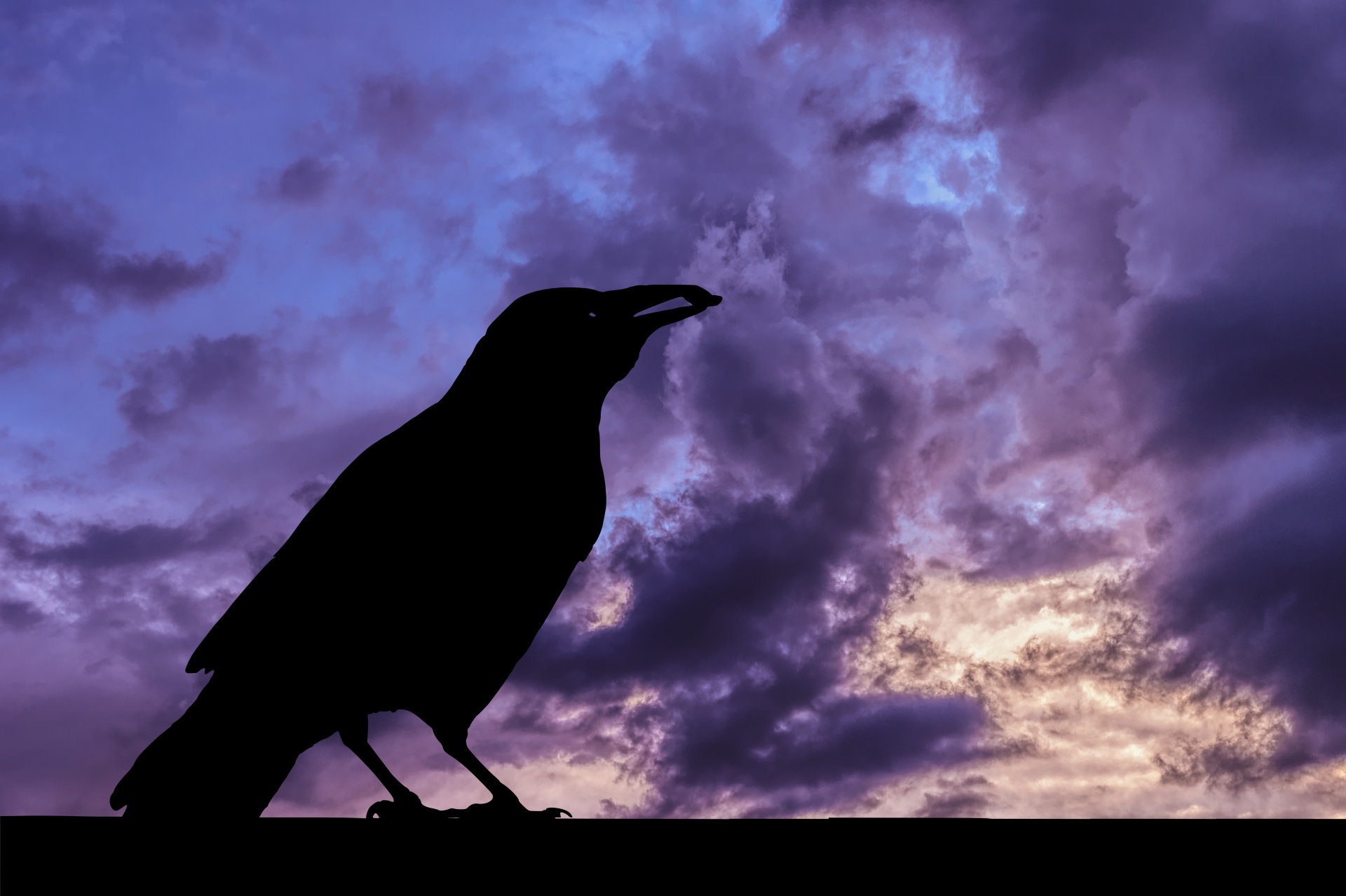 Raven Silhouette And Storm Clouds
