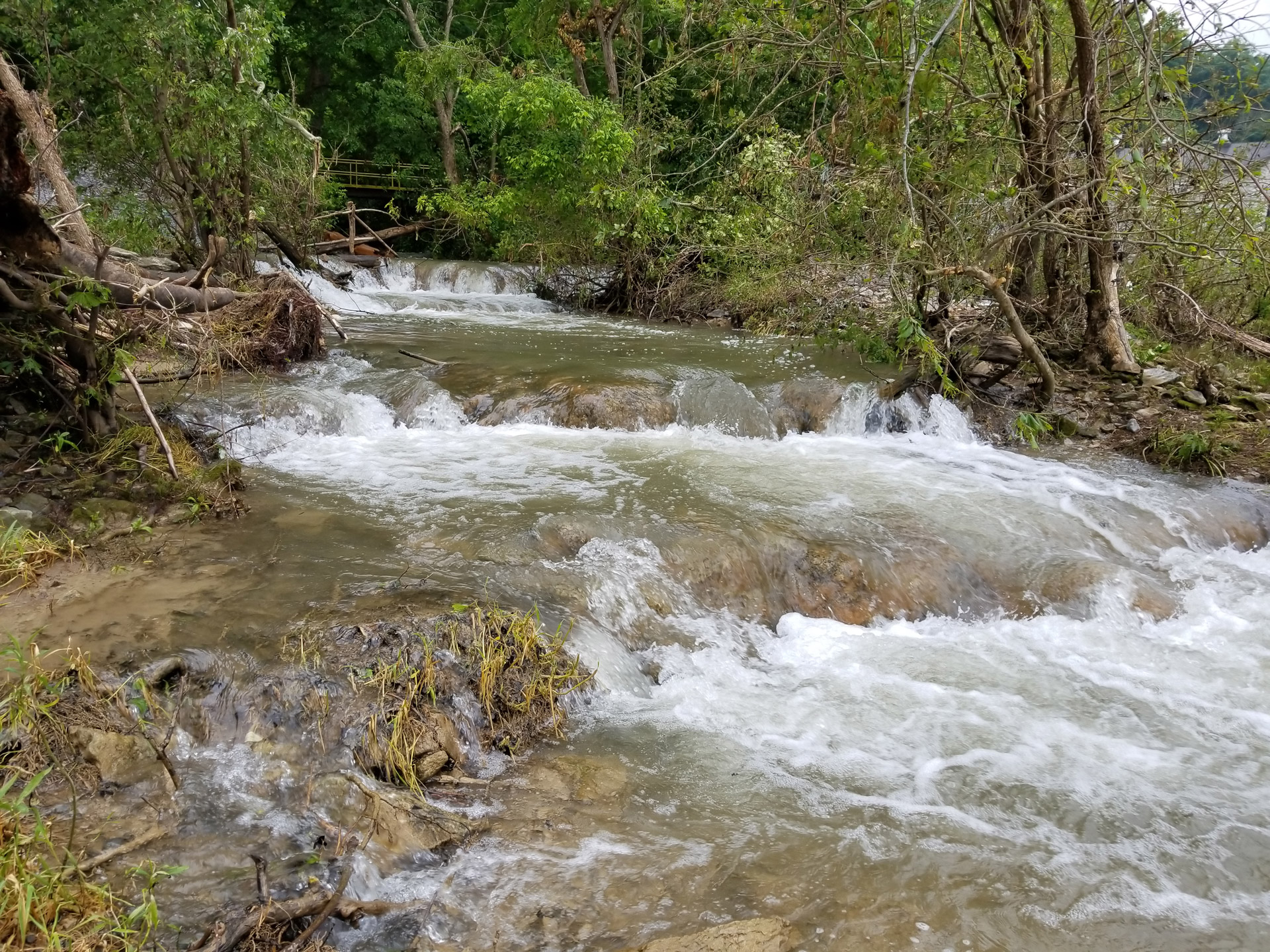 stream-levels-free-stock-photo-public-domain-pictures