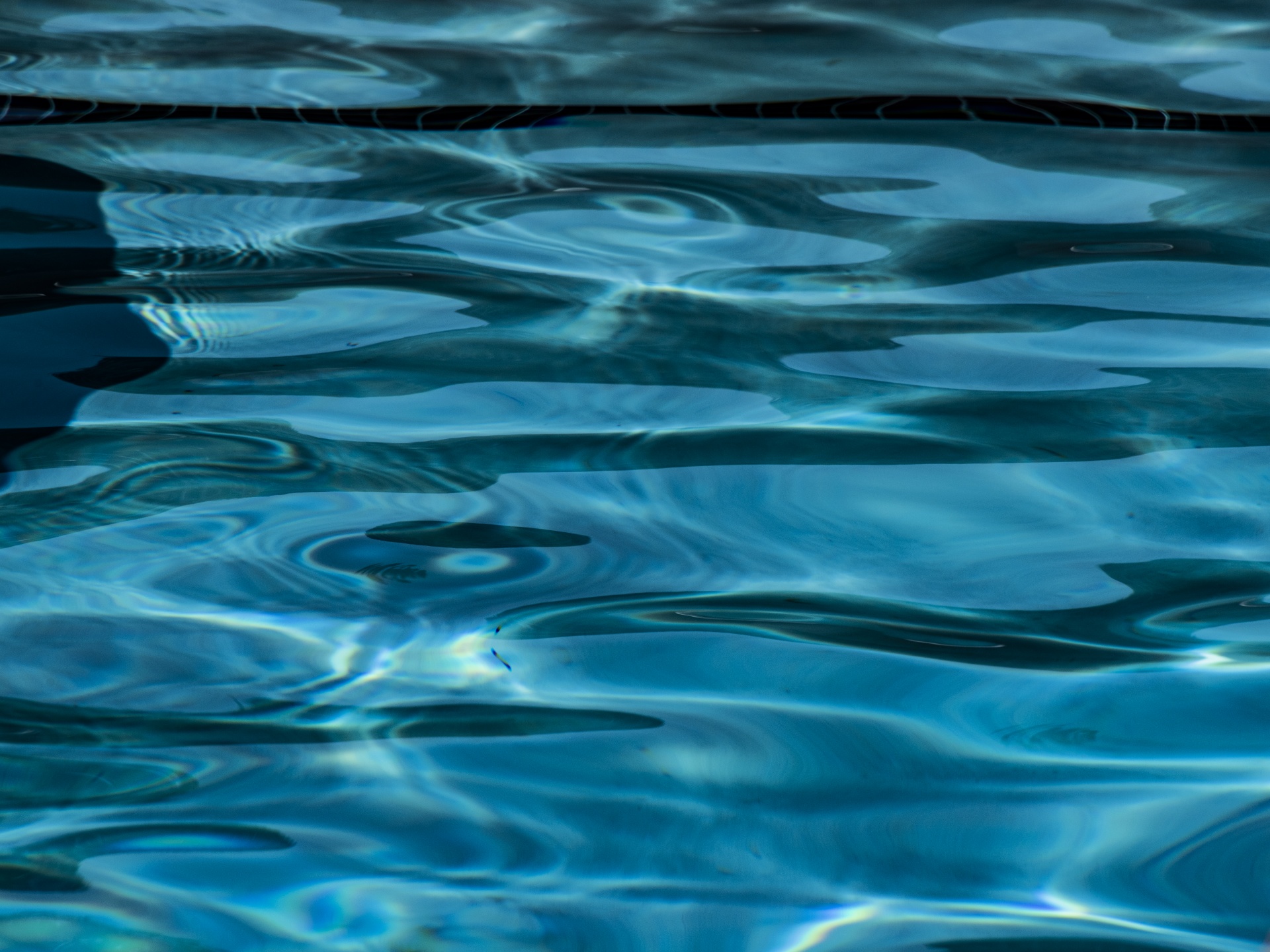 Swimming Pool Water Background Free Stock Photo Public Domain Pictures