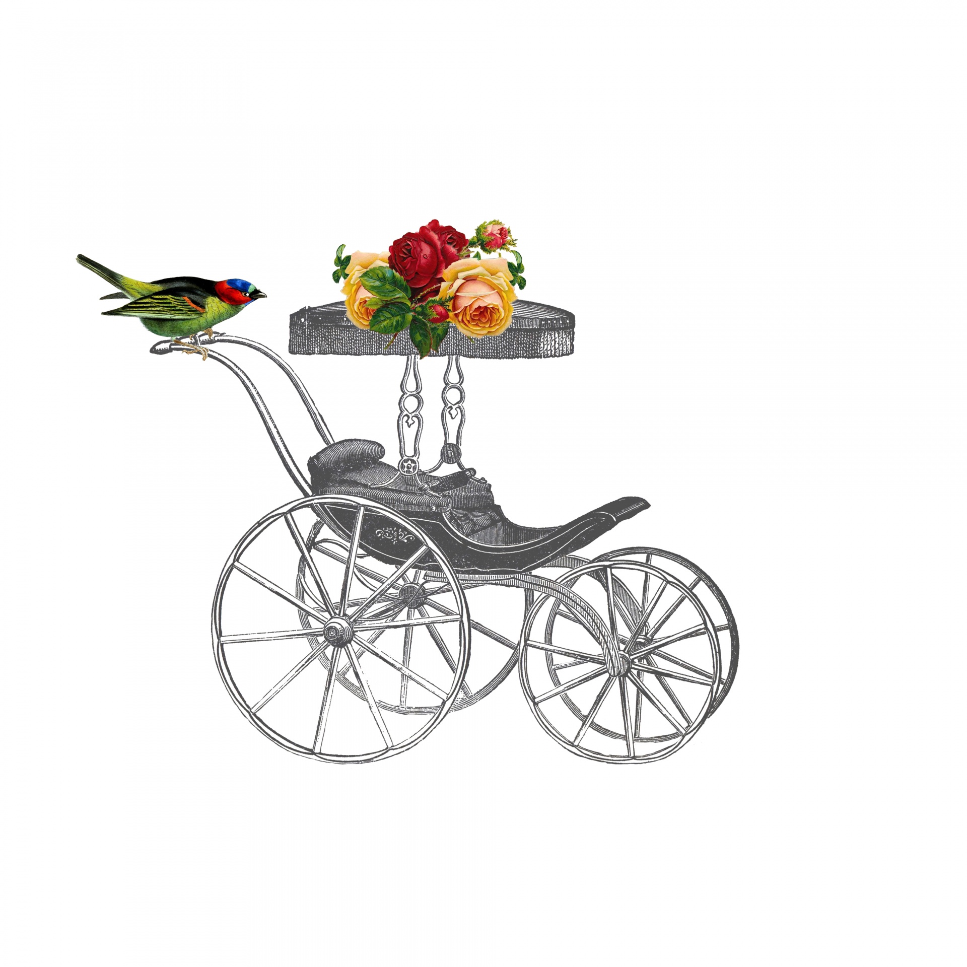 baby carriage illustration