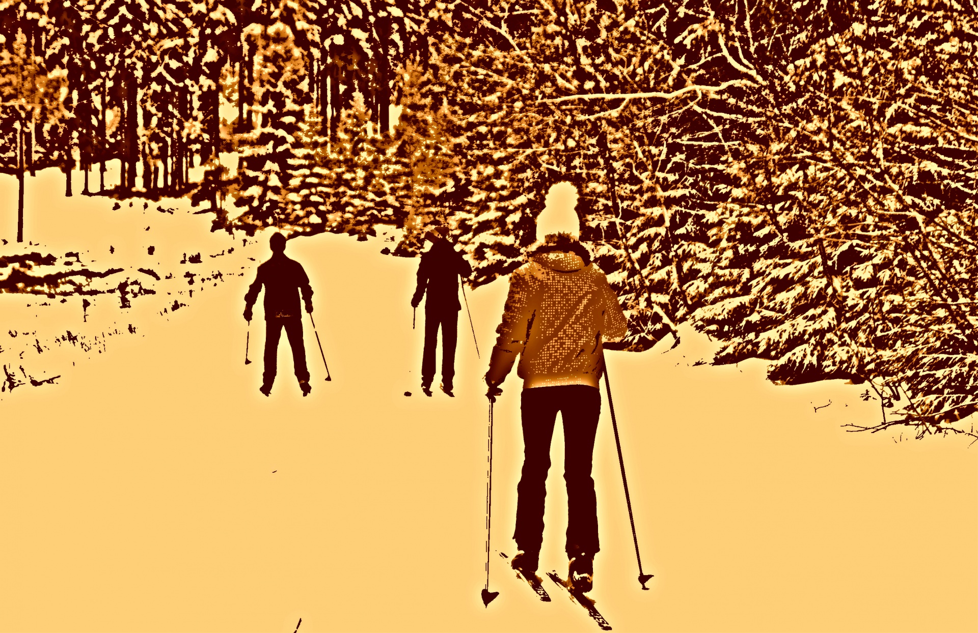 冬季滑雪者