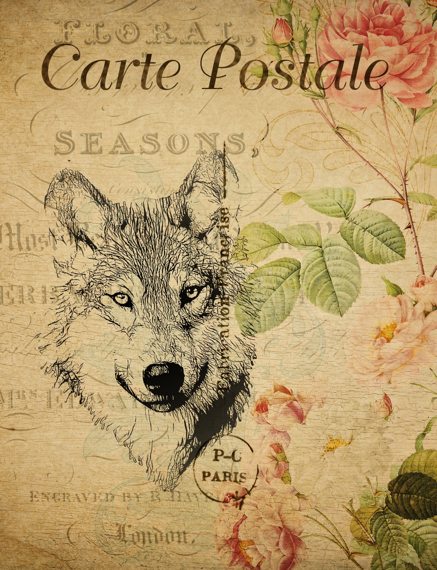 Wolf Vintage Blumen Postkarte Kostenloses Stock Bild Public Domain Pictures