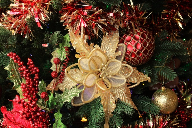 Stella Di Natale Decorazione.Decorazione Di Natale Oro Stella Di Nata Immagine Gratis Public Domain Pictures