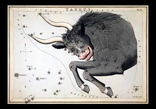 Taurus Vintage Zodiac Art Print Бесплатная фотография - Public Domain  Pictures