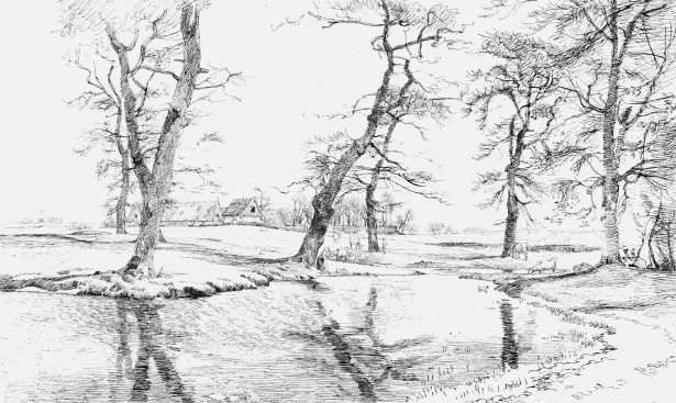 Discover 153+ tree scenery sketch latest
