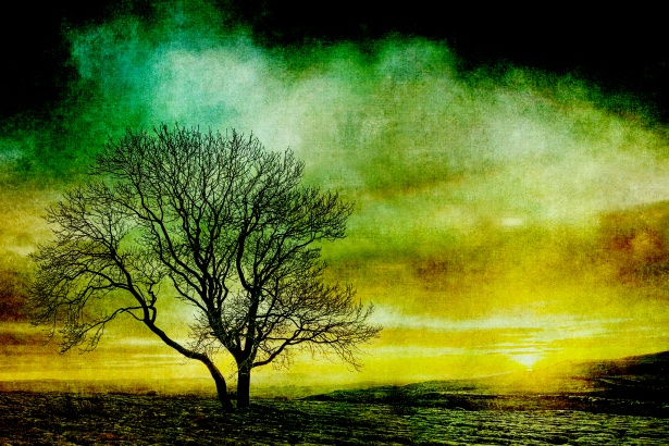 vintage tree silhouette