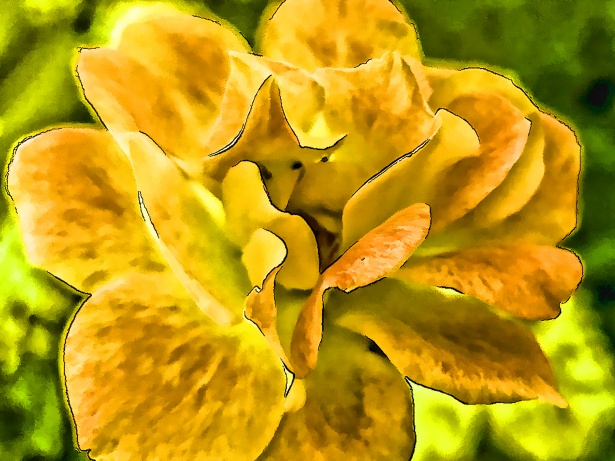 Желтый цветок рисунок Бесплатная фотография - Public Domain Pictures