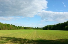 Agricultural Fields