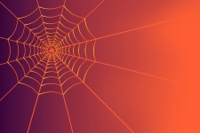Toamnă, fundal, păianjeni web