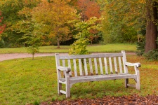Bench in the park in Autumn