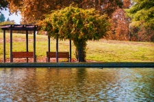 Benches By Autumn Lake