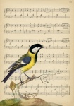 Bird Vintage Painting