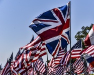 Britisches und Amerikanisches Flaggen-De