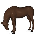 Brown Horse With His Head Down