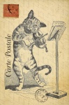 Chat, violon carte postale vintage