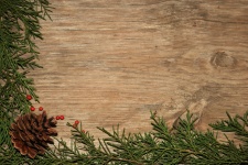 Cedar And Pine Cone Wood Background