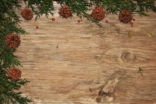 Cedar And Sycamore Wood Background