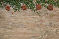 Cedar Branches On Wood Background