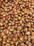 Chestnuts background