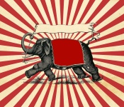 Cartel del vintage del elefante del circ