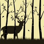 Ciervos en la silueta del bosque