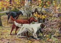 Dogs Vintage Painting Setters