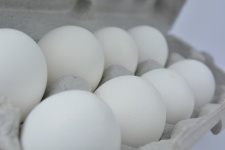 Una dozzina di uova