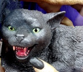 Fang Tooth Black Cat De Uma Bruxa