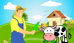 Krowa rolnika