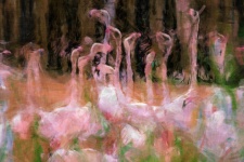 Flamingo Flock Painting