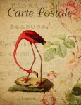 Flamingo Vintage Floral Postcard