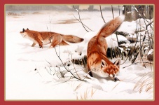 Pintura de neve de inverno de raposa