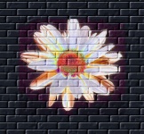 Graffiti Flower On Brick Wall