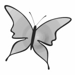 Gray net butterfly