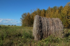Hay Bale In A Farmers Field