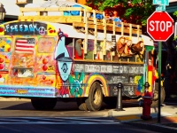 Bus hippie