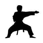 Karate Kämpfer Silhouette