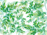 Leaves, Green, Pattern, Nature,