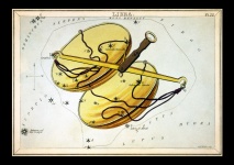 Cópia da arte do zodíaco do vintage do L