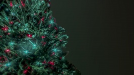 Copaci de Crăciun luminat