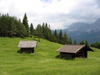 Lunca în Alpii bavarezi