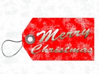 Merry Christmas Package Tag