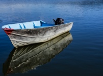 Barco a motor no lago