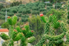 Natureza de Creta