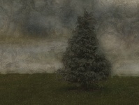 Oil Painting Pine Tree