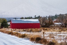 Barn în roșu în zăpadă
