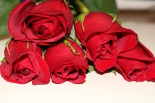 Röda rosor som ligger på vitt bord