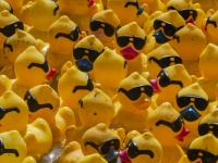 Rubber Duck Background