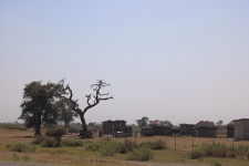Rural Homestead In Botswana